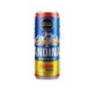 CERVEZA ANDINA REFAJO LATA