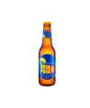CERVEZA COLA Y POLA VIDRIO